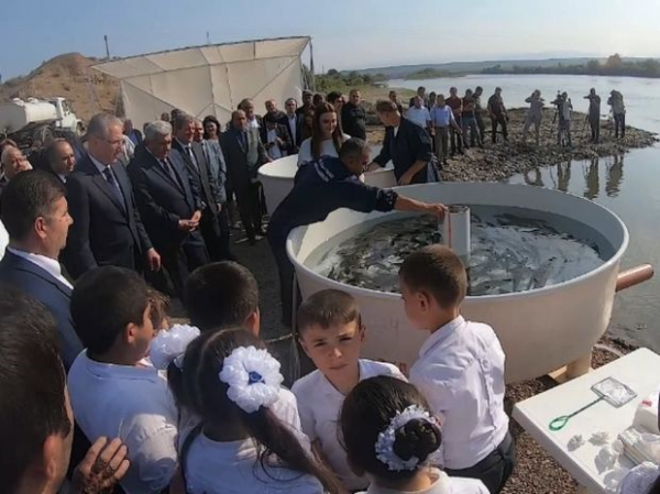 Kürə 400 min balıq buraxılacaq